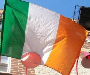 yapboz İrlanda Bayrağı